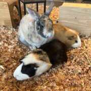 ヒメ日記 2025/08/04 22:07 投稿 るねこ【FG系列】 フィーリングin厚木【FG系列】