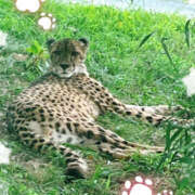 ヒメ日記 2025/08/09 01:00 投稿 るねこ【FG系列】 フィーリングin厚木【FG系列】