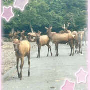 ヒメ日記 2025/08/09 01:09 投稿 るねこ【FG系列】 フィーリングin厚木【FG系列】