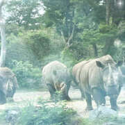 ヒメ日記 2025/08/09 01:18 投稿 るねこ【FG系列】 フィーリングin厚木【FG系列】