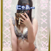 ヒメ日記 2025/12/17 11:43 投稿 るねこ【FG系列】 フィーリングin厚木【FG系列】