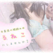 ヒメ日記 2025/12/30 12:05 投稿 るねこ【FG系列】 フィーリングin厚木【FG系列】