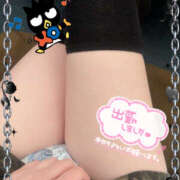 ヒメ日記 2026/03/16 11:41 投稿 るねこ【FG系列】 フィーリングin厚木【FG系列】