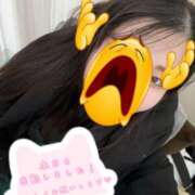 ヒメ日記 2026/04/02 09:45 投稿 るねこ【FG系列】 フィーリングin厚木【FG系列】