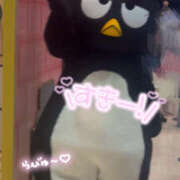 ヒメ日記 2026/04/11 14:43 投稿 るねこ【FG系列】 フィーリングin厚木【FG系列】