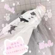るねこ【FG系列】 猫袖🐈‍⬛🎀 フィーリングin厚木【FG系列】