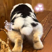 ヒメ日記 2026/04/22 19:06 投稿 るねこ【FG系列】 フィーリングin厚木【FG系列】