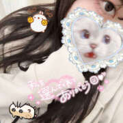ヒメ日記 2026/05/15 12:15 投稿 るねこ【FG系列】 フィーリングin厚木【FG系列】