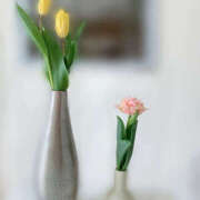 ヒメ日記 2025/07/06 22:09 投稿 吉瀬れみ 一夜妻