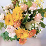 ヒメ日記 2025/07/13 18:59 投稿 吉瀬れみ 一夜妻