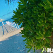 ヒメ日記 2025/07/15 13:29 投稿 吉瀬れみ 一夜妻