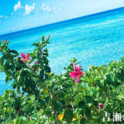 ヒメ日記 2025/07/22 13:19 投稿 吉瀬れみ 一夜妻