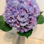 ヒメ日記 2025/07/23 20:59 投稿 吉瀬れみ 一夜妻