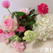 ヒメ日記 2025/07/27 18:29 投稿 吉瀬れみ 一夜妻