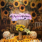 ヒメ日記 2025/08/01 12:19 投稿 吉瀬れみ 一夜妻