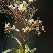 ヒメ日記 2025/08/02 17:39 投稿 吉瀬れみ 一夜妻