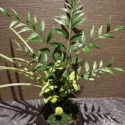 ヒメ日記 2025/08/10 12:09 投稿 吉瀬れみ 一夜妻