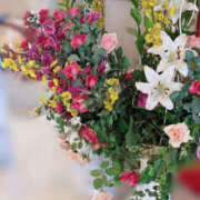 ヒメ日記 2025/08/13 21:42 投稿 吉瀬れみ 一夜妻