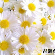 ヒメ日記 2025/09/04 00:39 投稿 吉瀬れみ 一夜妻