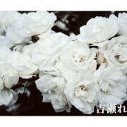 ヒメ日記 2025/09/06 10:49 投稿 吉瀬れみ 一夜妻