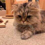 りお お久しぶりです‎🤍 SCREEN(スクリーン)