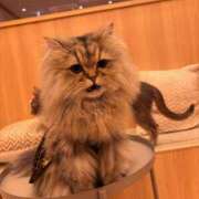 ヒメ日記 2025/12/21 12:33 投稿 りお SCREEN(スクリーン)