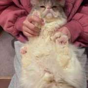 ヒメ日記 2026/01/08 23:03 投稿 りお SCREEN(スクリーン)