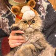 ヒメ日記 2026/01/28 21:48 投稿 りお SCREEN(スクリーン)