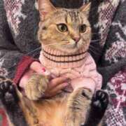 ヒメ日記 2026/02/26 17:33 投稿 りお SCREEN(スクリーン)