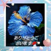 ヒメ日記 2025/08/19 17:30 投稿 上条(ｶﾐｼﾞｮｳ) 小山人妻城