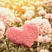 ヒメ日記 2025/10/06 16:22 投稿 上条(ｶﾐｼﾞｮｳ) 小山人妻城