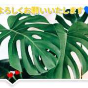 ヒメ日記 2025/10/08 10:12 投稿 上条(ｶﾐｼﾞｮｳ) 小山人妻城