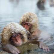 ヒメ日記 2025/11/25 08:22 投稿 上条(ｶﾐｼﾞｮｳ) 小山人妻城