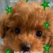 ヒメ日記 2025/12/18 21:07 投稿 上条(ｶﾐｼﾞｮｳ) 小山人妻城