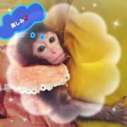 ヒメ日記 2025/12/19 08:00 投稿 上条(ｶﾐｼﾞｮｳ) 小山人妻城