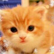 ヒメ日記 2026/01/20 19:40 投稿 上条(ｶﾐｼﾞｮｳ) 小山人妻城