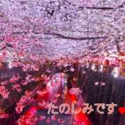 ヒメ日記 2026/03/06 10:29 投稿 上条(ｶﾐｼﾞｮｳ) 小山人妻城