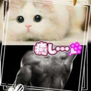 ヒメ日記 2026/03/24 15:40 投稿 上条(ｶﾐｼﾞｮｳ) 小山人妻城