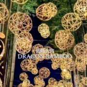 ヒメ日記 2026/03/29 17:12 投稿 上条(ｶﾐｼﾞｮｳ) 小山人妻城