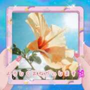 ヒメ日記 2026/04/17 08:30 投稿 上条(ｶﾐｼﾞｮｳ) 小山人妻城