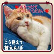 上条(ｶﾐｼﾞｮｳ) 🤩事前のご予約ありがとうございます🤩本日もよろしくお願いします🩷🫶 小山人妻城