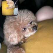 ヒメ日記 2025/06/17 00:54 投稿 にこ 東京リップ 池袋店