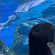 ヒメ日記 2025/07/19 18:24 投稿 にこ 東京リップ 池袋店