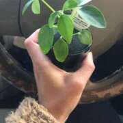 ヒメ日記 2025/10/20 11:19 投稿 羽田　あゆみ オトナ女子倶楽部