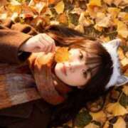 れーな お礼日記〜🥺 ウルトラドリーム