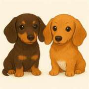 ヒメ日記 2025/08/21 08:26 投稿 ななせ ZERO-i