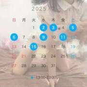 ヒメ日記 2025/06/27 16:26 投稿 ゆめか CECIL