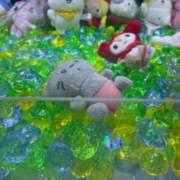 ヒメ日記 2025/07/02 11:07 投稿 ゆめか CECIL