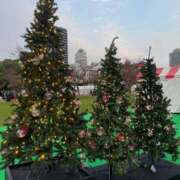 ヒメ日記 2025/12/12 23:44 投稿 ゆめか CECIL