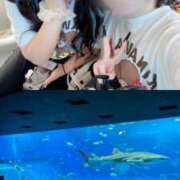 ヒメ日記 2025/11/03 17:02 投稿 もね まじらぶ！